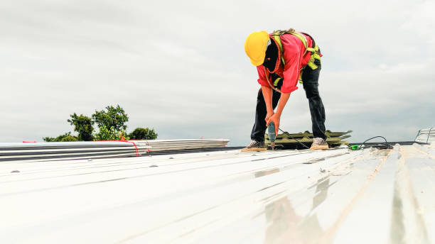 Best Roof Waterproofing  in Burnham, PA
